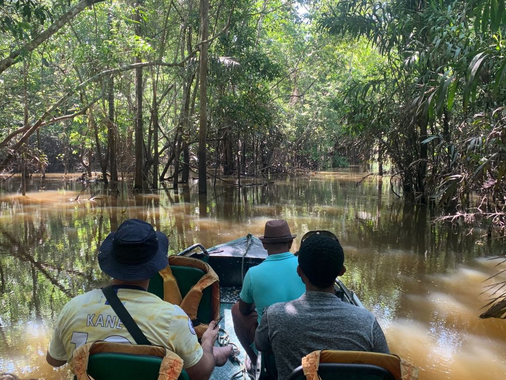 Explorando as maravilhas do Rio Negro e do Rio Amazonas com Pernoite - Image 2