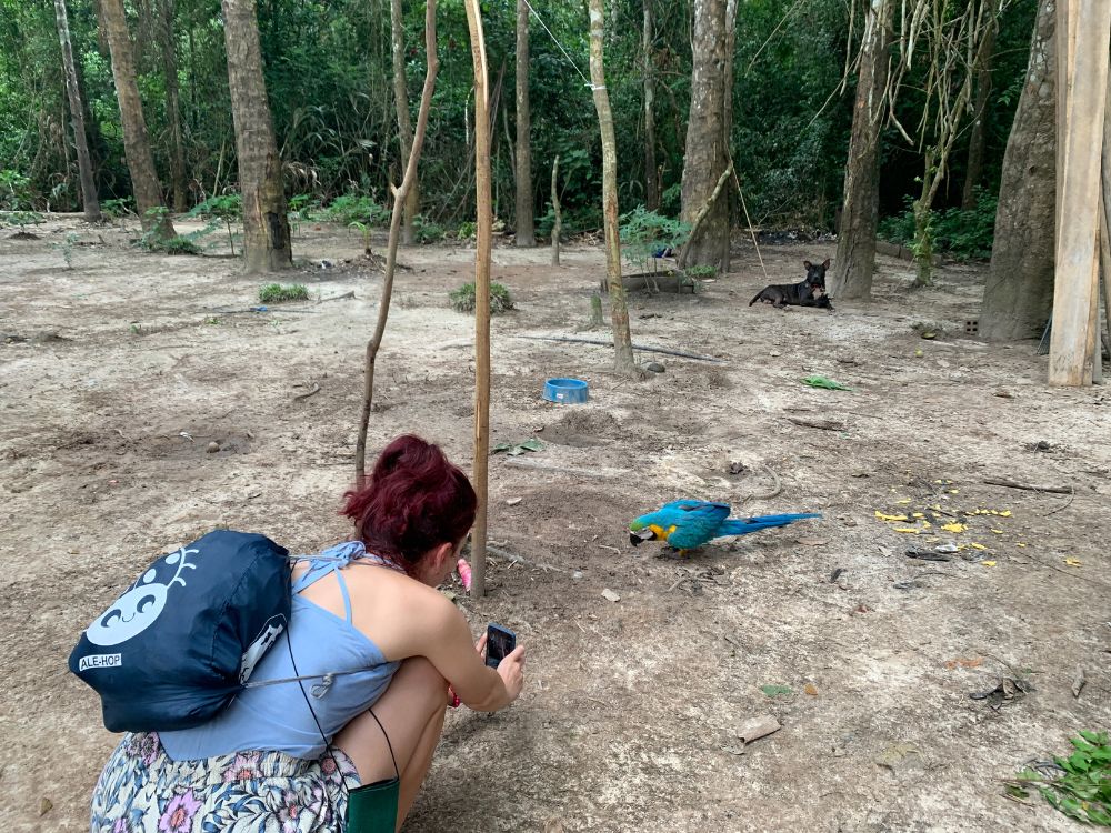 Explorando as maravilhas do Rio Negro e do Rio Amazonas com Pernoite - Image 3
