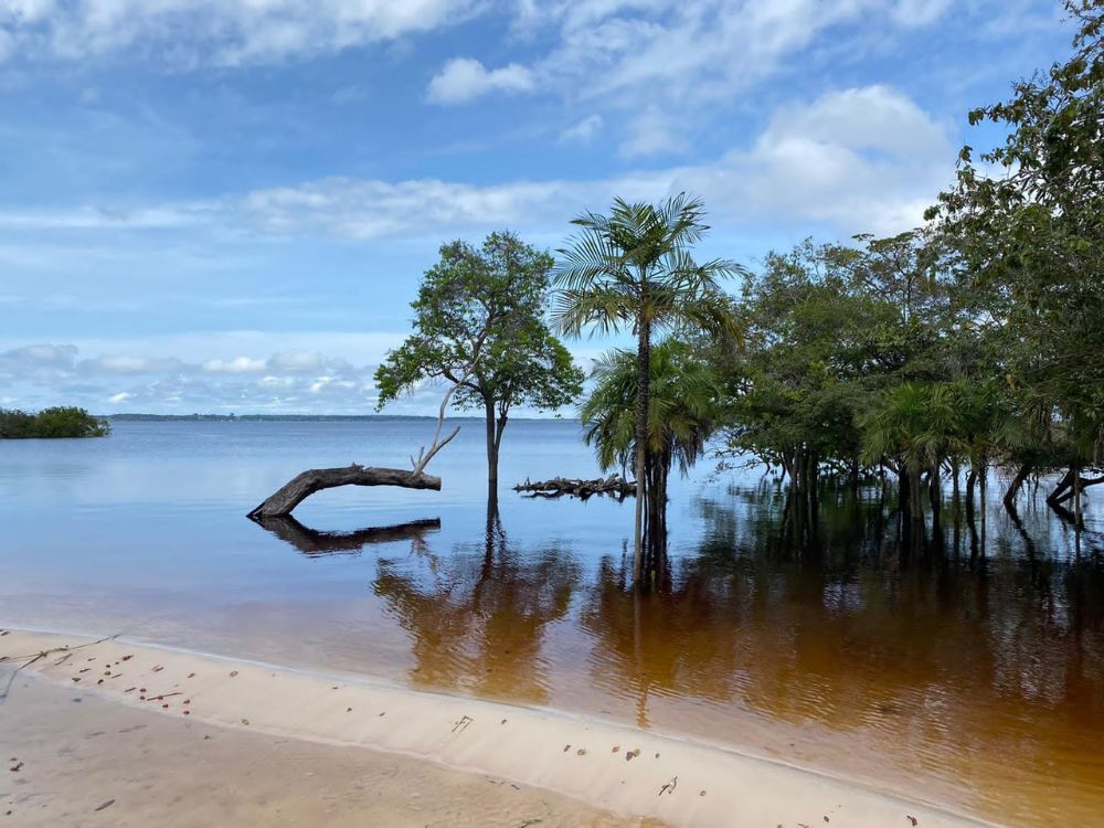 Imersão nas Tradições Indígenas às Margens do Rio Negro - Image 2