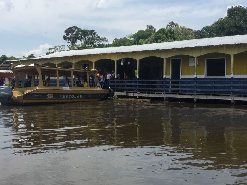 Manaus e o espetáculo do encontro das águas: uma viagem pela história e natureza Amazônica - Image 2