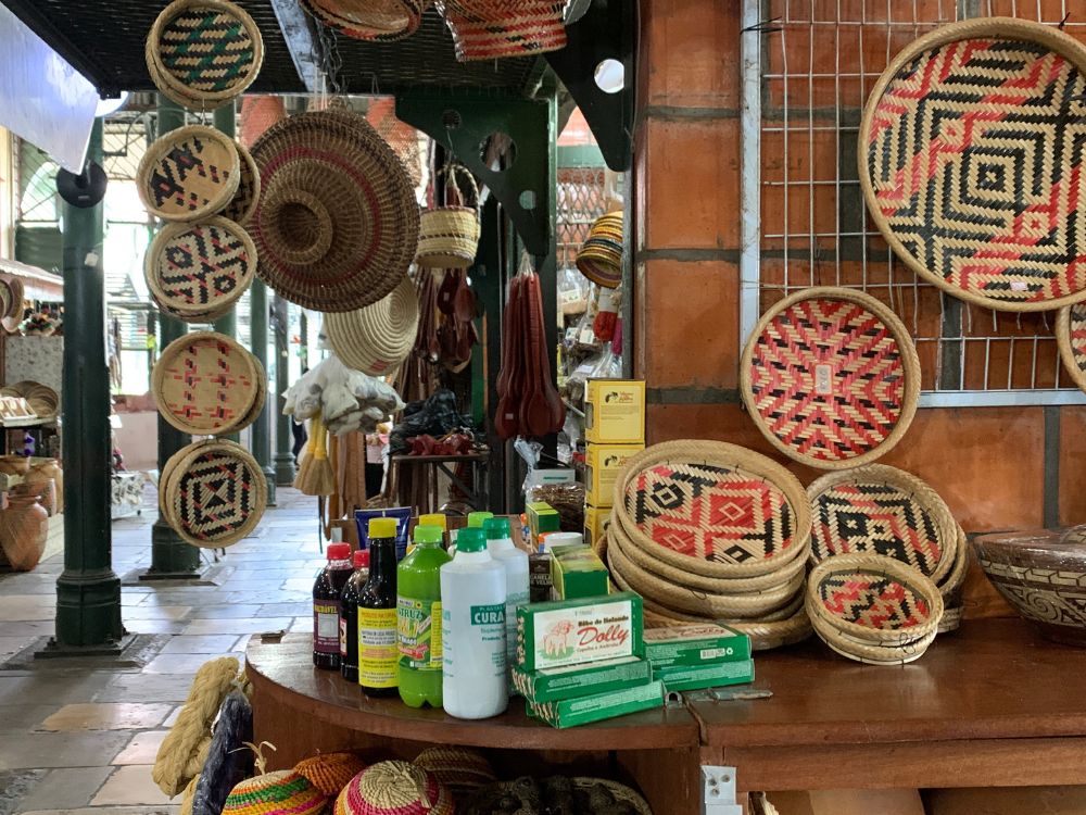 Manaus e o espetáculo do encontro das águas: uma viagem pela história e natureza Amazônica - Image 3