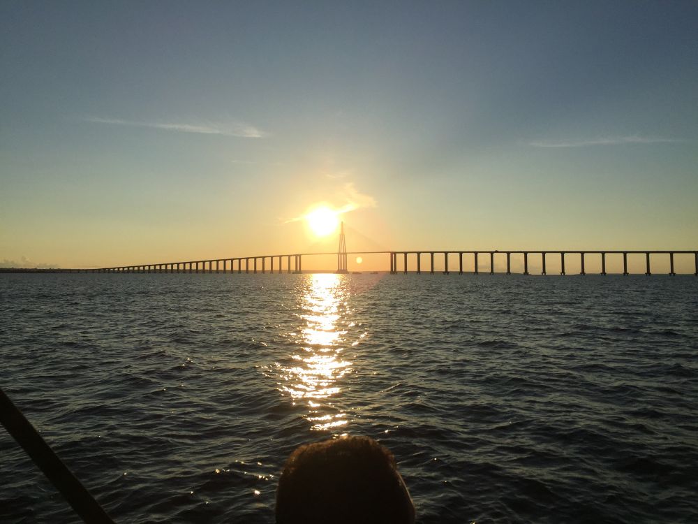 Manaus e o espetáculo do encontro das águas: uma viagem pela história e natureza Amazônica - Image 4