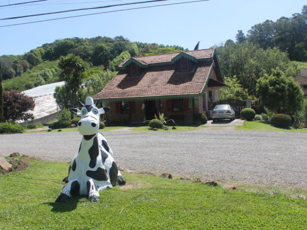 A combinação perfeita entre queijos e vinhos em um incrível tour gastronômico