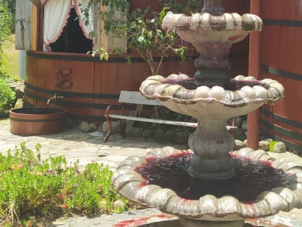 A combinação perfeita entre queijos e vinhos em um incrível tour gastronômico - Image 3