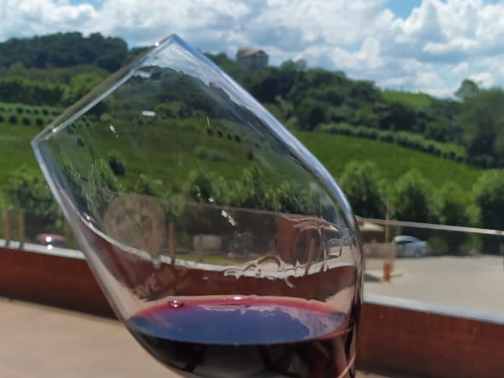 Descobrindo os tesouros do terroir sulista com as vinícolas boutique, suas origens e tradições - Image 4