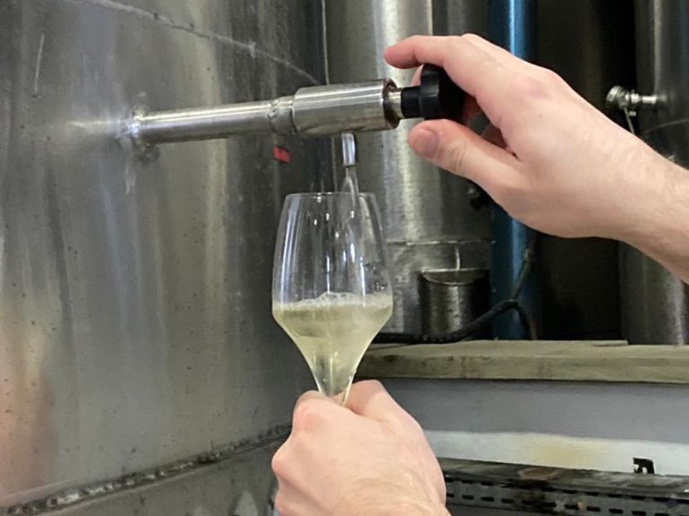 Efervecência, aromas e sabores: uma viagem sensorial e histórica pelo coração da produção nacional de espumantes - Image 2