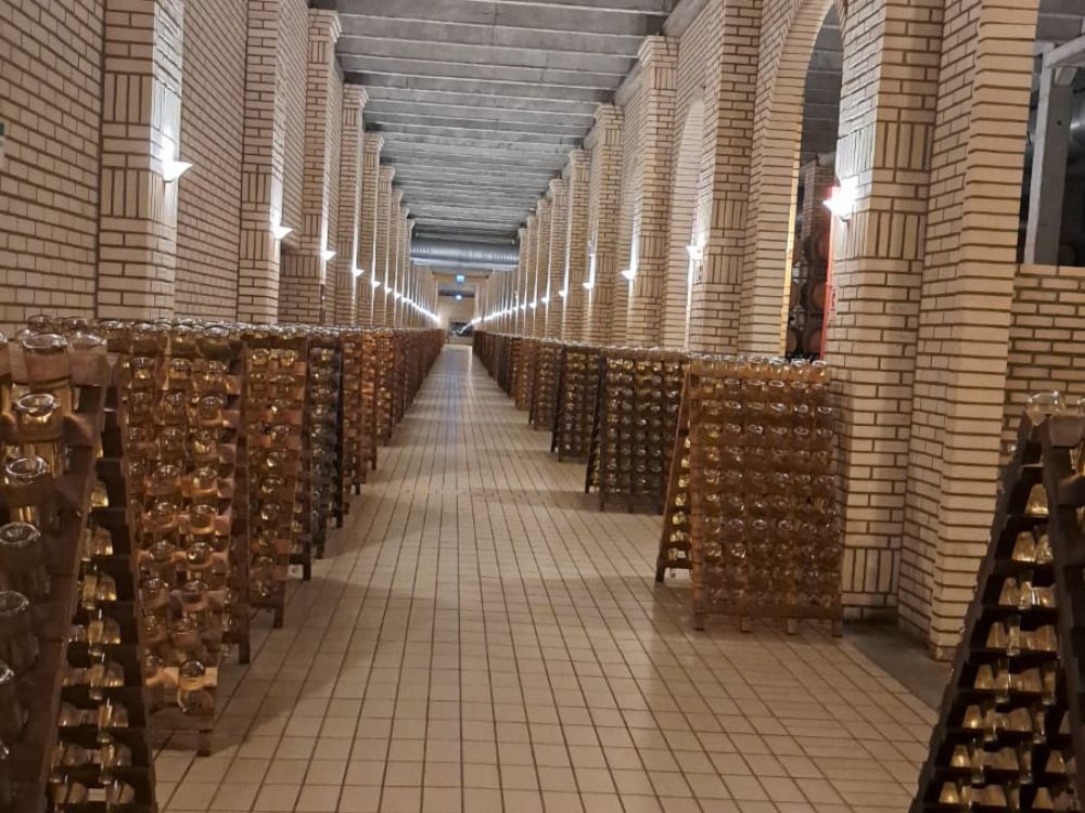 Encante-se com o Vale dos Vinhedos e aprenda técnicas para degustar vinhos e espumantes - Image 3