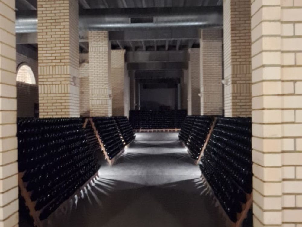 Encante-se com o Vale dos Vinhedos e aprenda técnicas para degustar vinhos e espumantes - Image 2