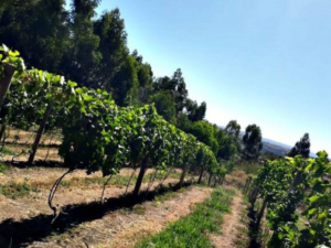 presente-criativo-dia-dos-namorados