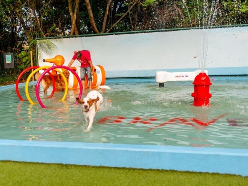 Bom para cachorro! Day use em dog club no coração da cidade de São Paulo por pet (cachorro) com 2 humanos incluídos - Image 3