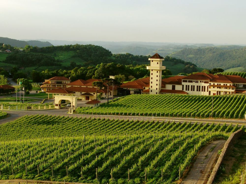 Explorando os sabores da terra em um tour pelo Vale dos Vinhedos - Image 3