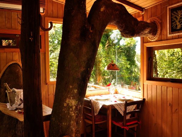 Refúgio Romantico: massagem relaxante e hospedagem com jantar exclusivo na Casa da Árvore! - Image 5