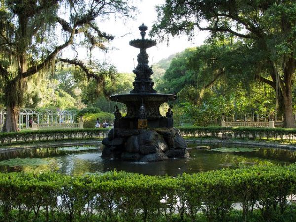 Tour pelo Parque Laje e Jardim Botânico com fotógrafo profissional - Image 3