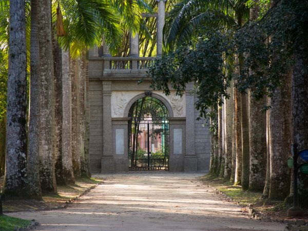 Tour pelo Parque Laje e Jardim Botânico com fotógrafo profissional - Image 4