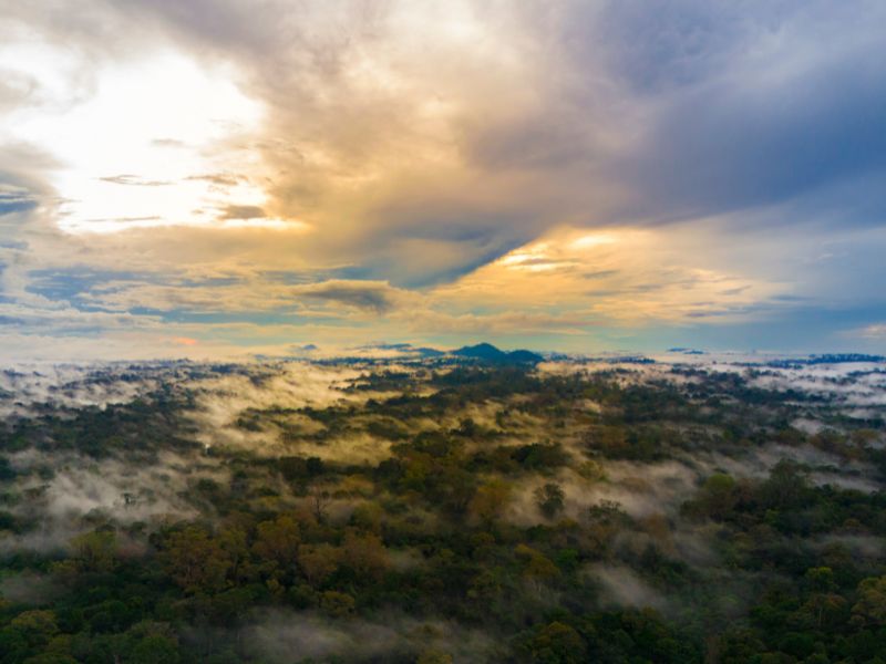 Expedição Amazônica: Explore as Montanhas do Tumucumaque em 3 Dias Inesquecíveis - Image 3