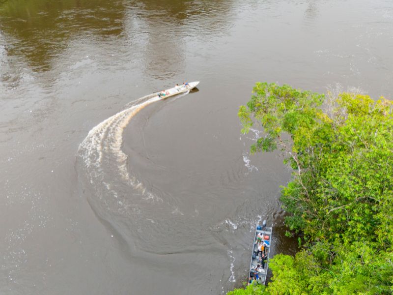 Expedição Amazônica: Explore as Montanhas do Tumucumaque em 3 Dias Inesquecíveis - Image 2