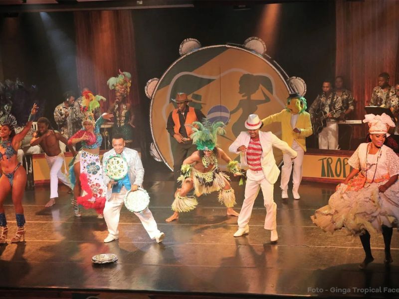 Ginga Tropical: Viva a Energia do Brasil em um Show Inesquecível - Image 3