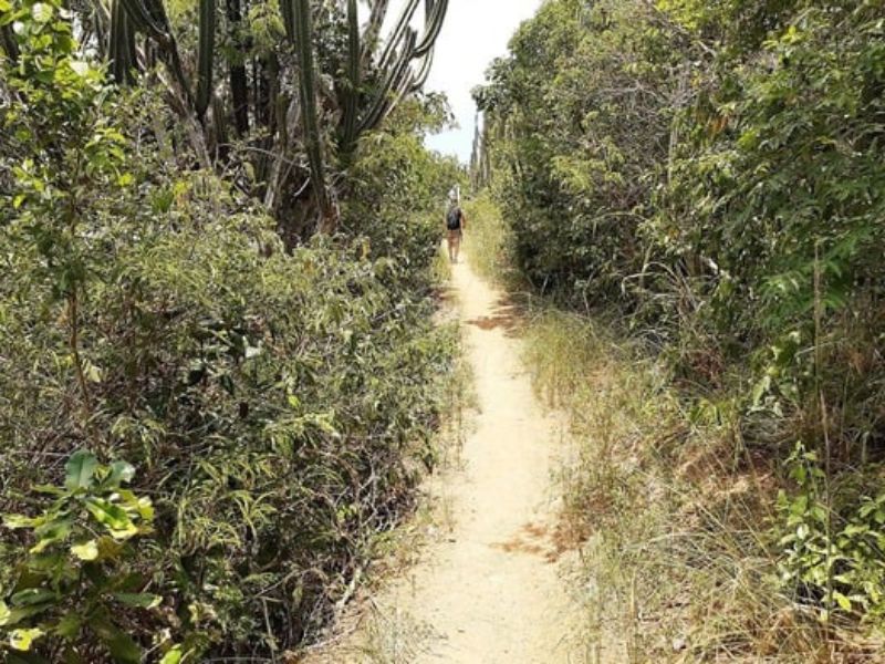 Trilhas Panorâmicas de Búzios: Emerências & José Gonçalves - Image 3