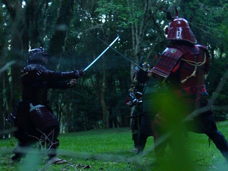 Experiência Samurai: Desperte o Guerreiro que Existe em Você - Image 3