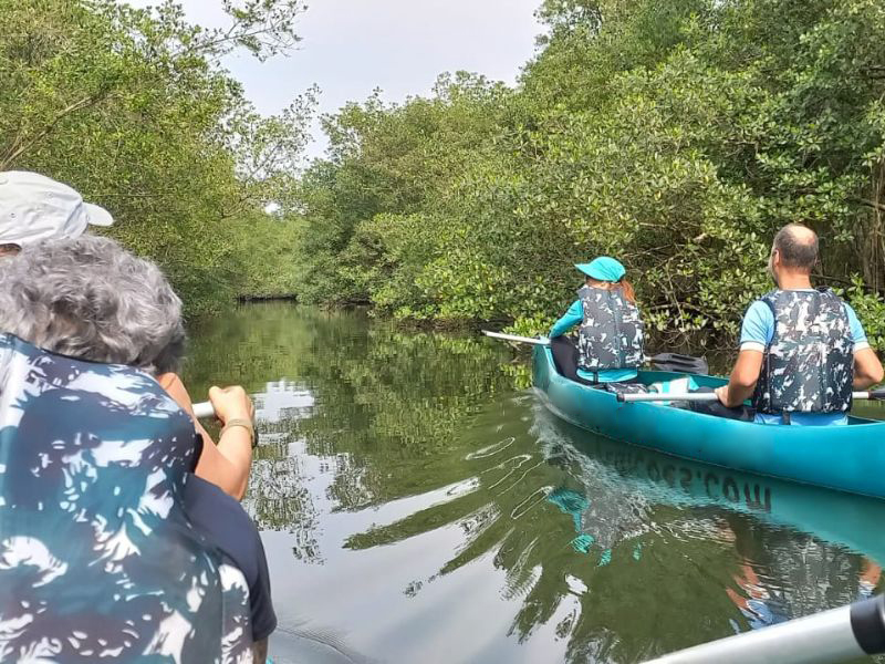 Remando na Natureza: Canoagem pelo Manguezal de Cubatão - Image 2