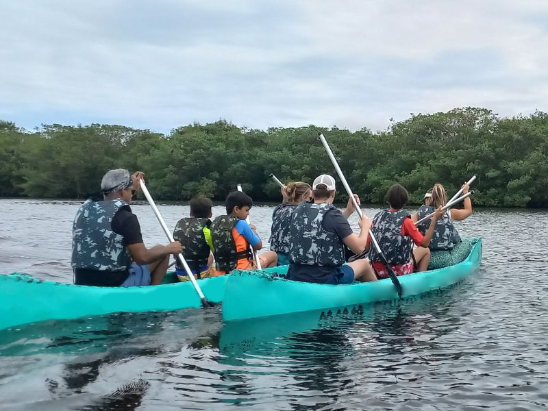 Remando na Natureza: Canoagem pelo Manguezal de Cubatão - Image 3