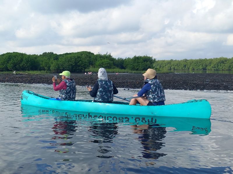 Remando na Natureza: Canoagem pelo Manguezal de Cubatão - Image 4